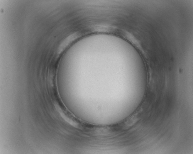 X0000060800106200511241920