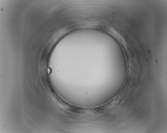 X0000060800107200511241920