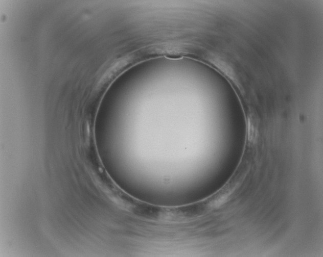 X0000060800109200511241920