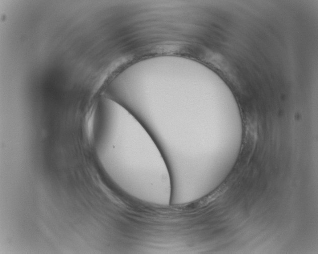 X0000060800110200511241920