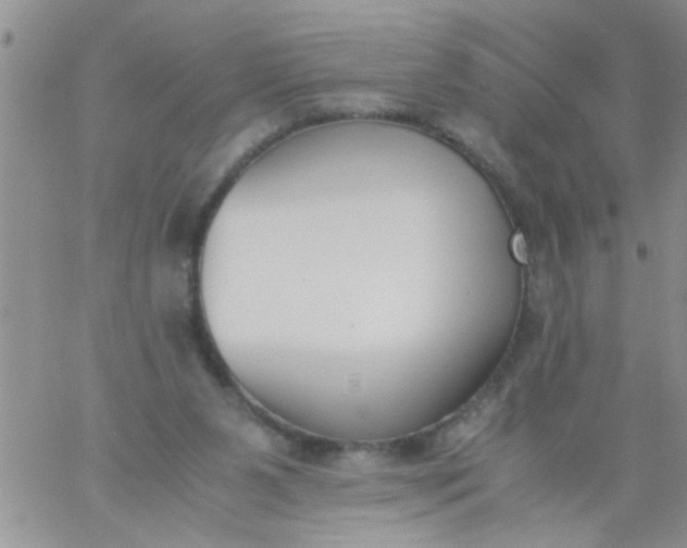 X0000060800111200511241920