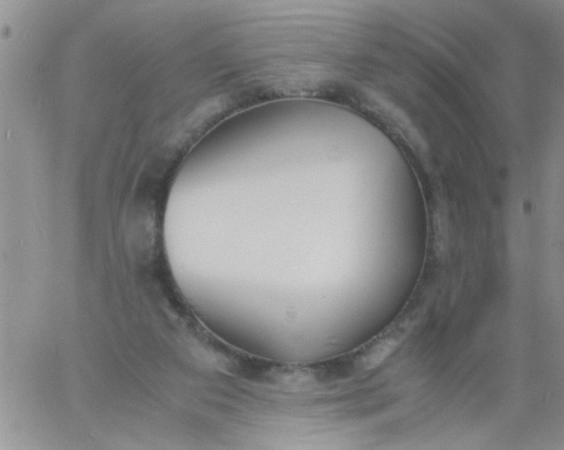 X0000060800113200511241920