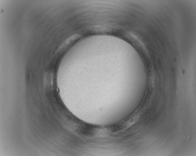 X0000060800115200511241920