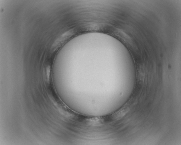 X0000060800118200511241920