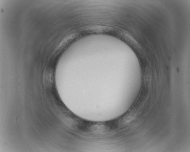 X0000060800119200511241920