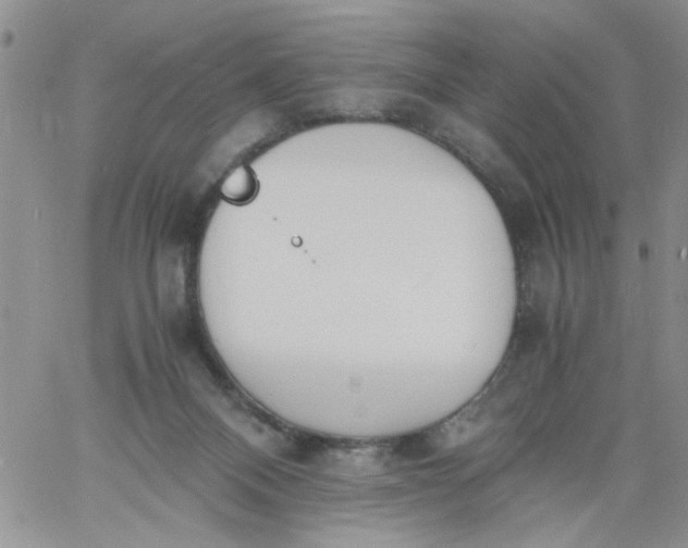 X0000060800120200511241920