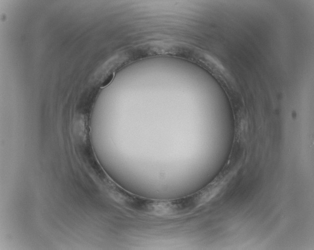 X0000060800121200511241920