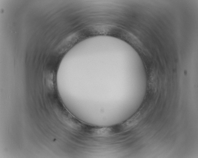 X0000060800122200511241920