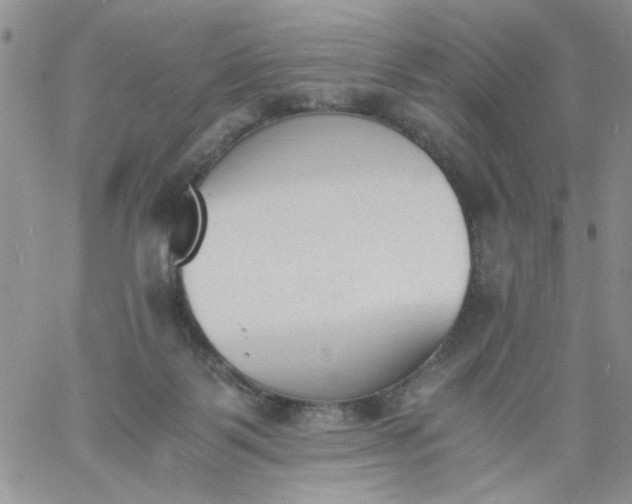 X0000060800123200511241920