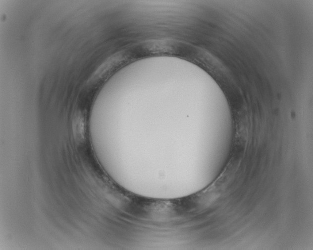 X0000060800124200511241920