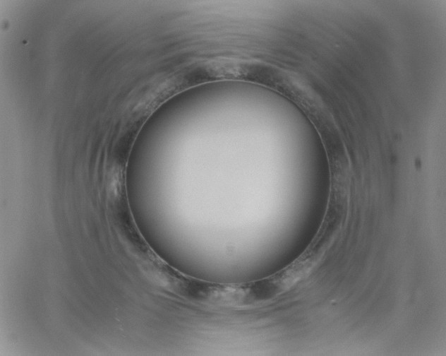 X0000060800125200511241920