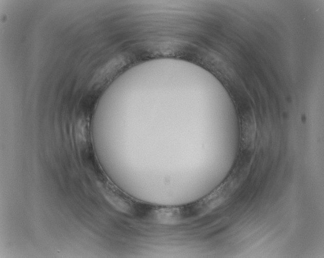 X0000060800126200511241920