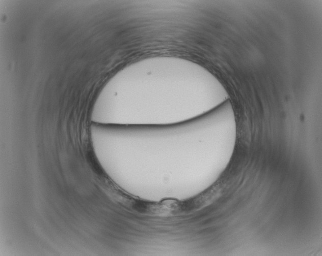 X0000060800131200511241920