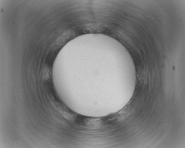 X0000060800132200511241920