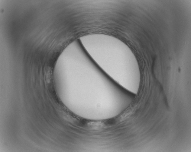 X0000060800133200511241920