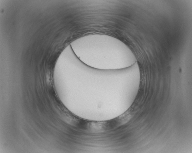 X0000060800134200511241920