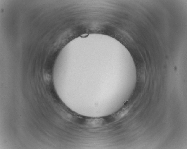 X0000060800135200511241920