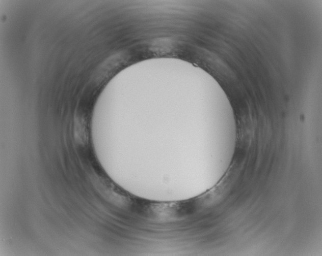 X0000060800136200511241920