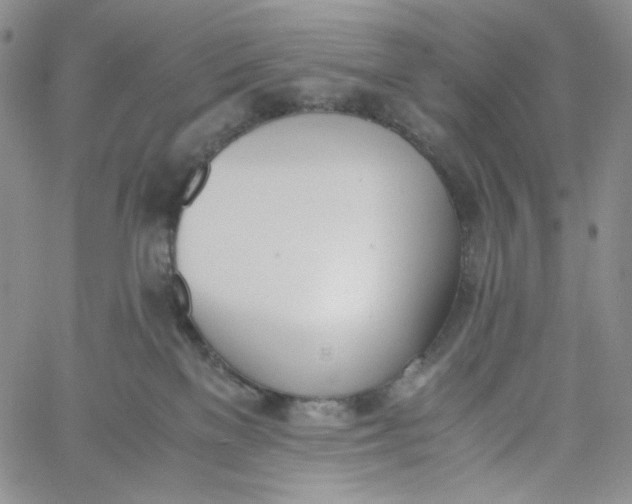 X0000060800137200511241920