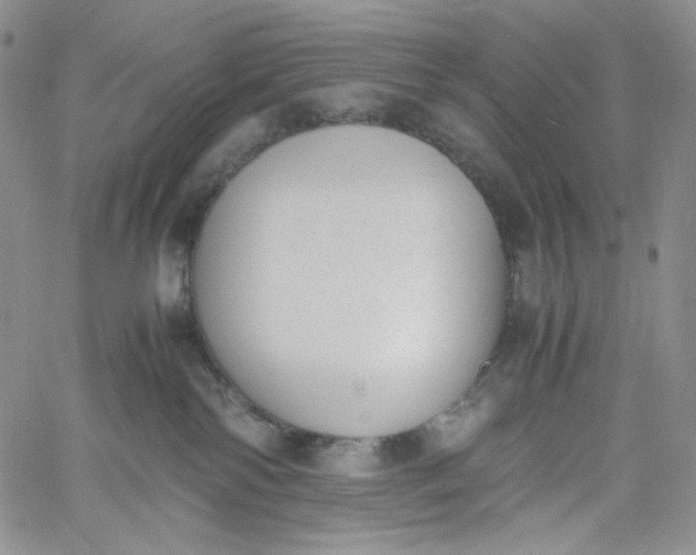 X0000060800138200511241920