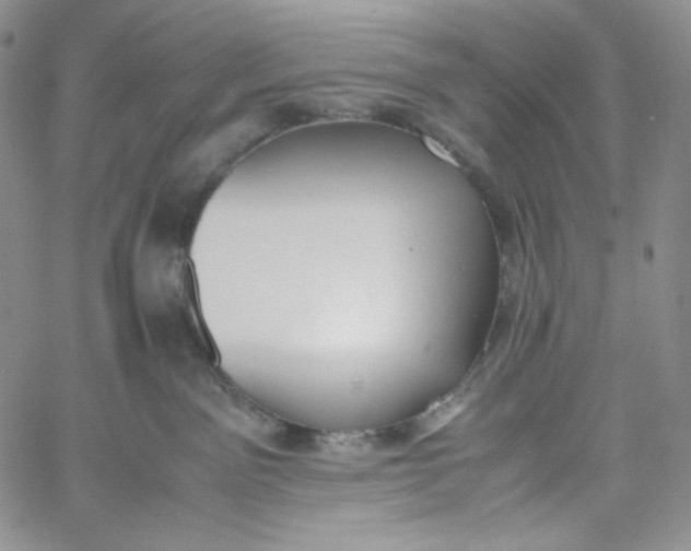 X0000060800141200511241920