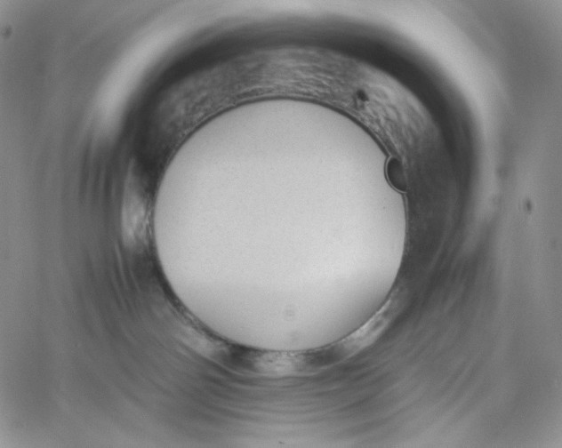 X0000060800142200511241920