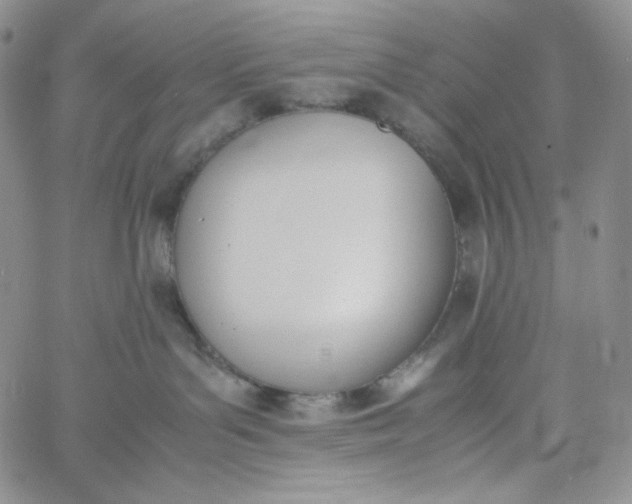 X0000060800143200511241920