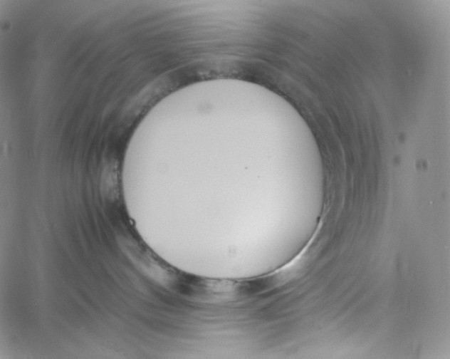 X0000060800144200511241920