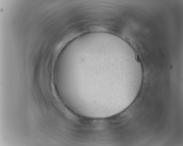 X0000060800145200511241919