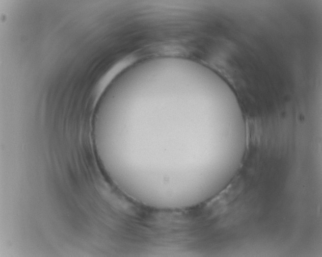 X0000060800147200511241919