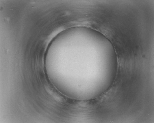 X0000060800148200511241919