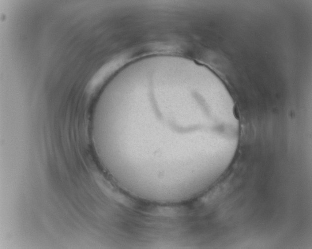 X0000060800149200511241919