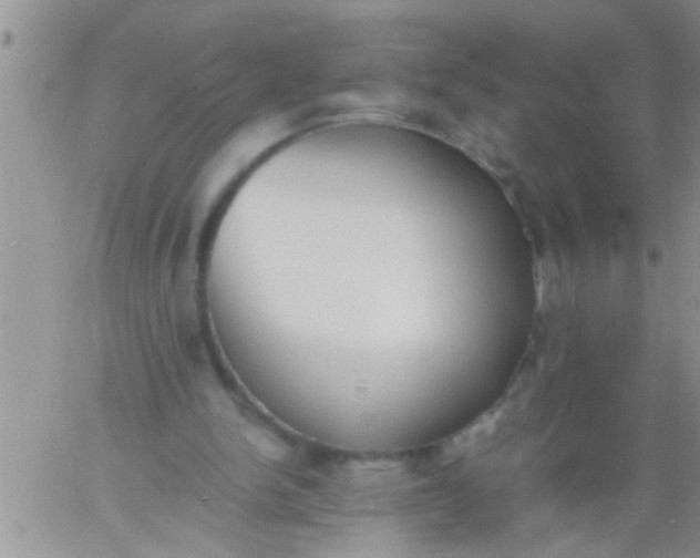 X0000060800150200511241919