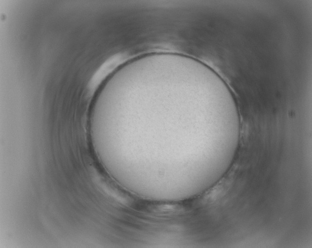 X0000060800151200511241919