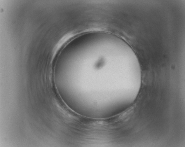 X0000060800152200511241919