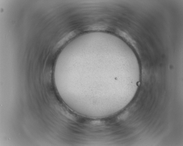 X0000060800153200511241919