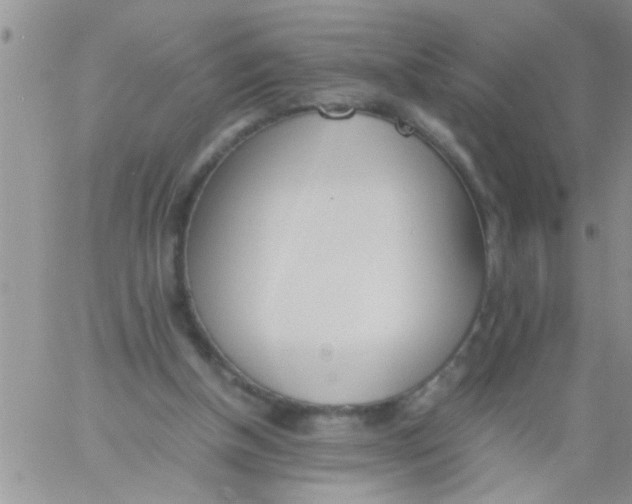 X0000060800154200511241919