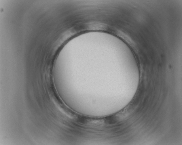 X0000060800155200511241919