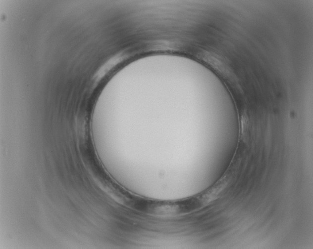 X0000060800156200511241919