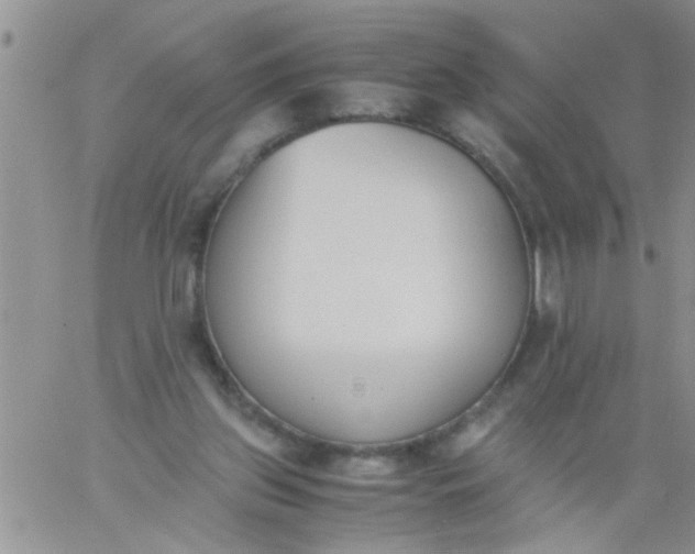 X0000060800157200511241919