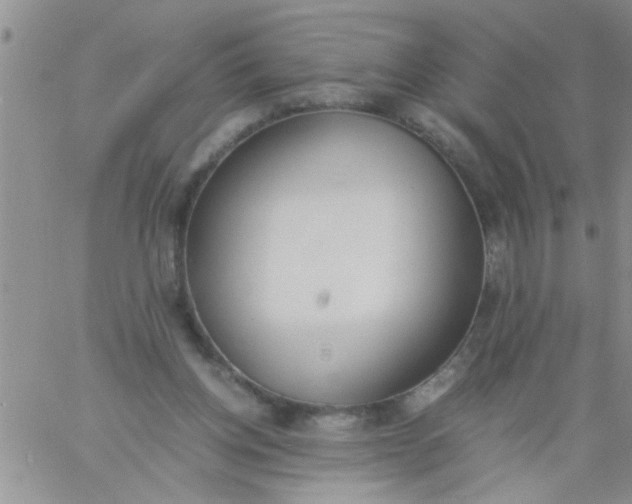 X0000060800158200511241919