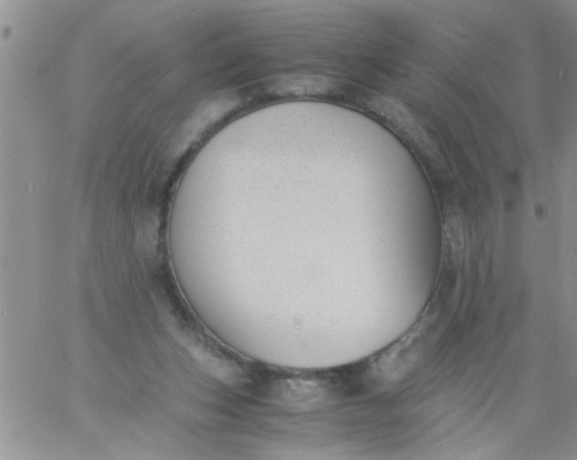 X0000060800159200511241919