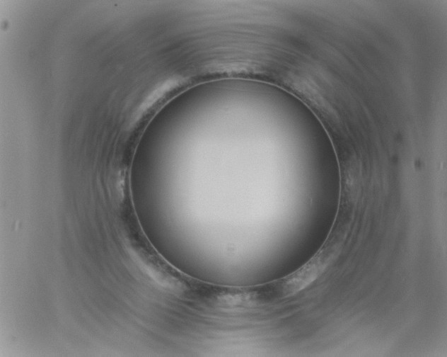 X0000060800160200511241919