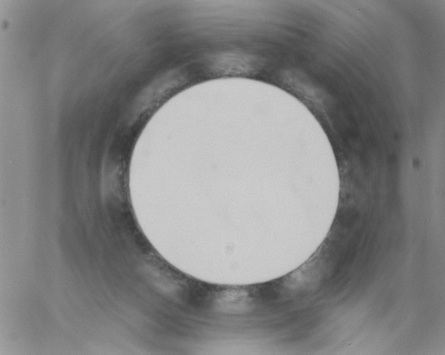 X0000060800162200511241919