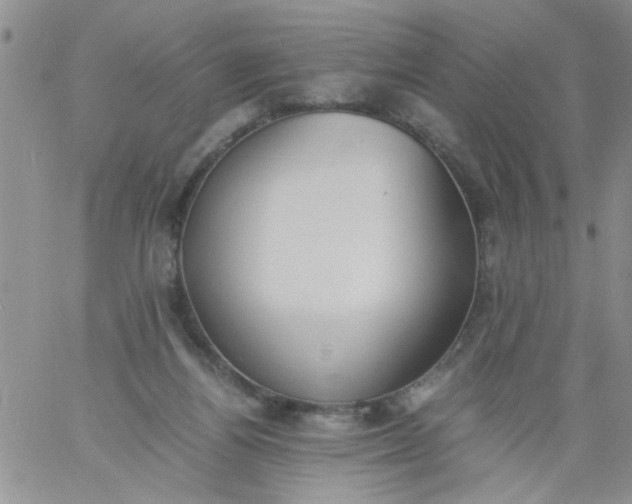 X0000060800164200511241919