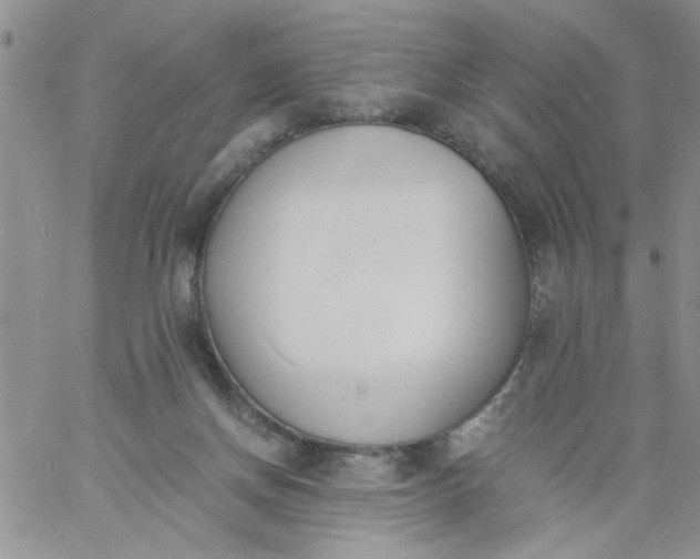 X0000060800166200511241919