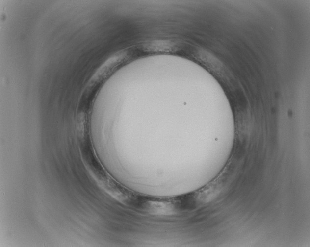 X0000060800167200511241919