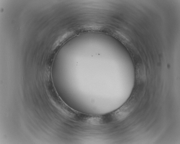 X0000060800168200511241919