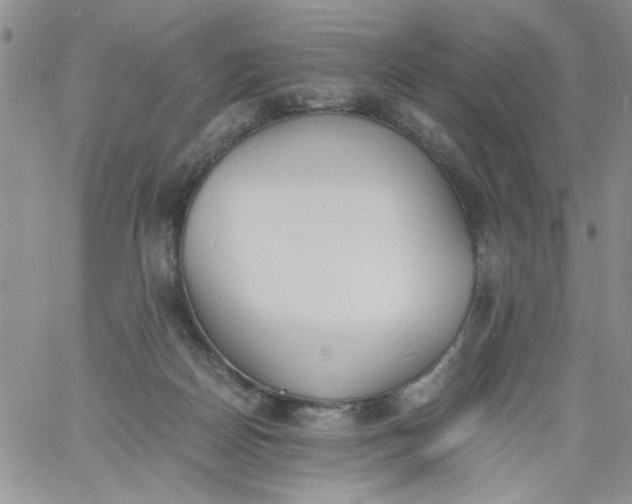 X0000060800170200511241919