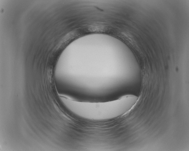 X0000060800171200511241919